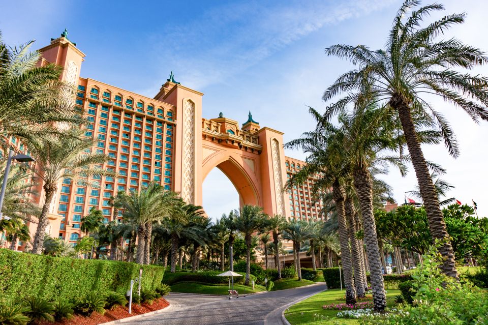 خلیج دلفین ها