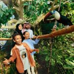 سیاره سبز دبی