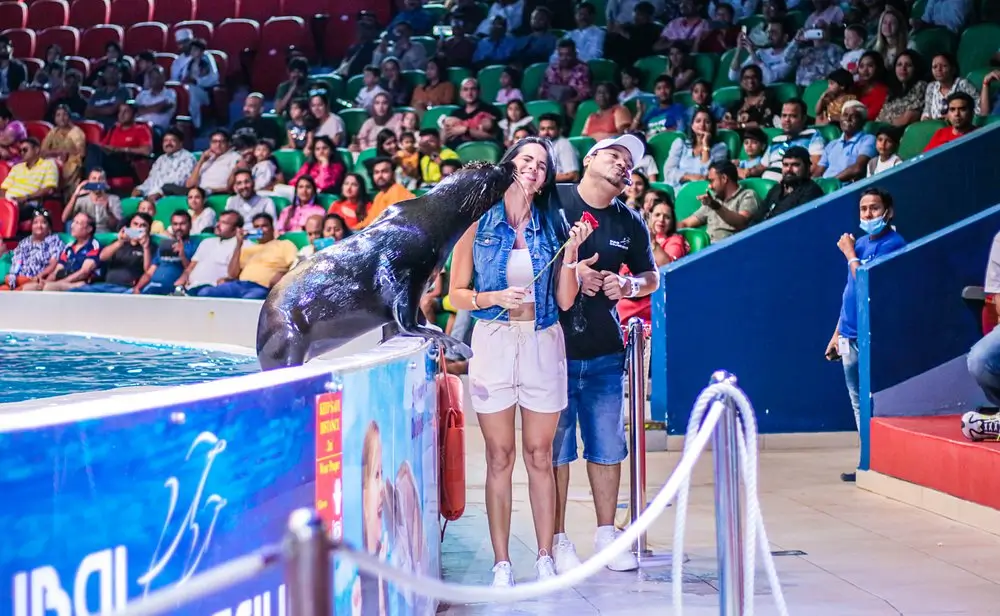 دلفیناریوم دبی